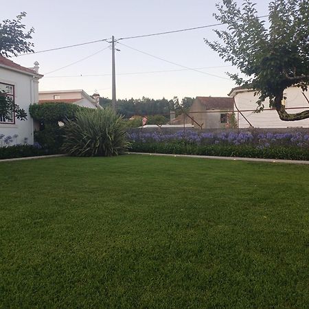 Vila Delfina Lousa  Bagian luar foto