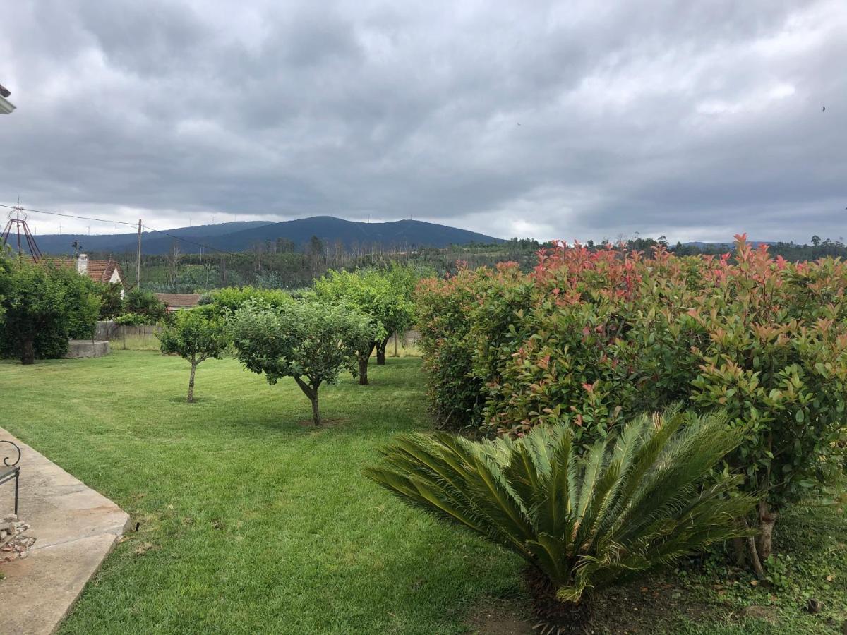 Vila Delfina Lousa  Bagian luar foto