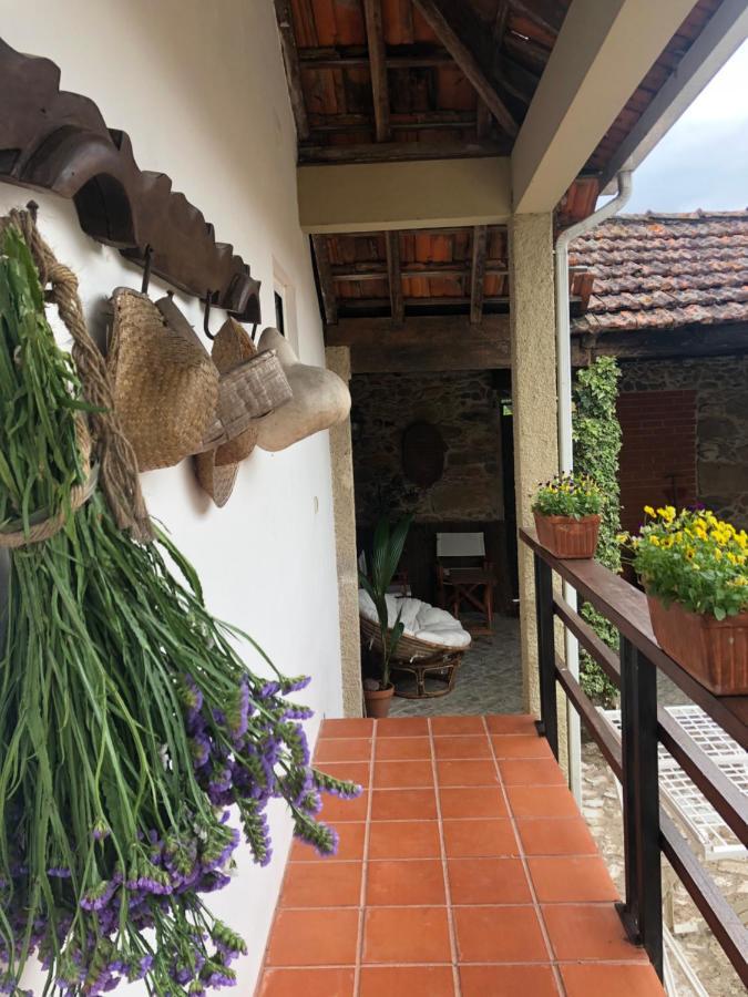 Vila Delfina Lousa  Bagian luar foto