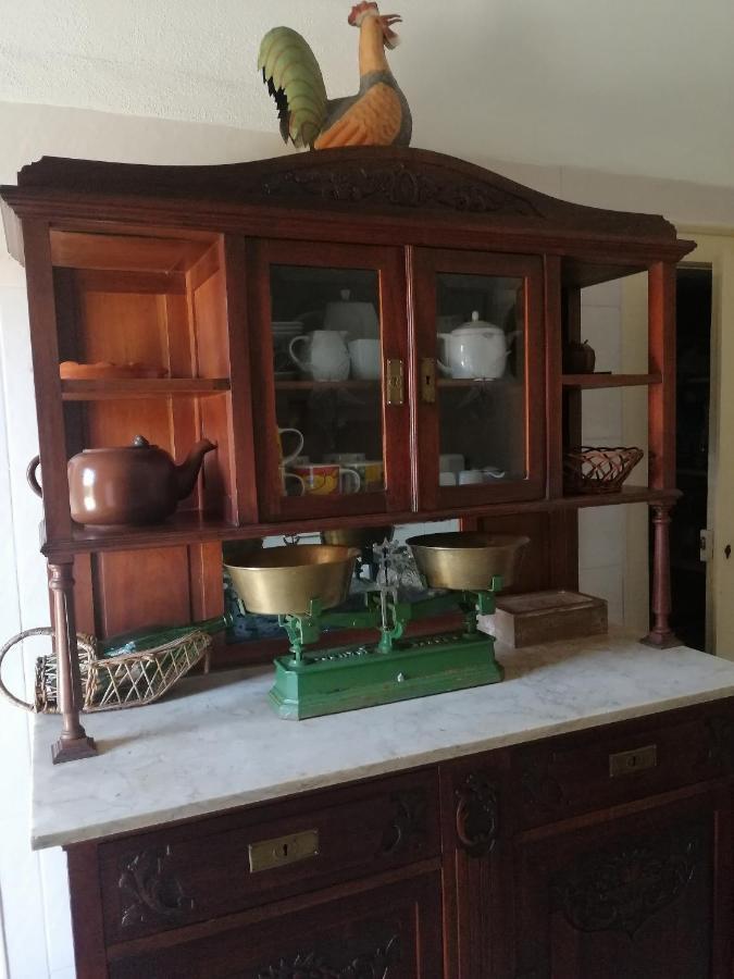 Vila Delfina Lousa  Bagian luar foto