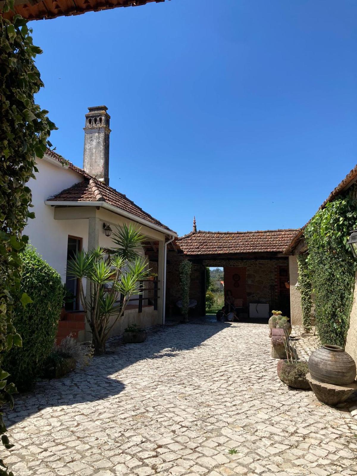 Vila Delfina Lousa  Bagian luar foto