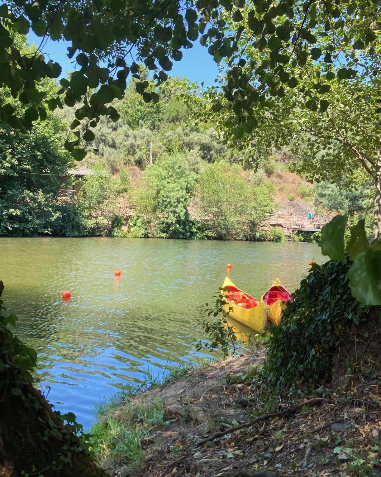Vila Delfina Lousa  Bagian luar foto