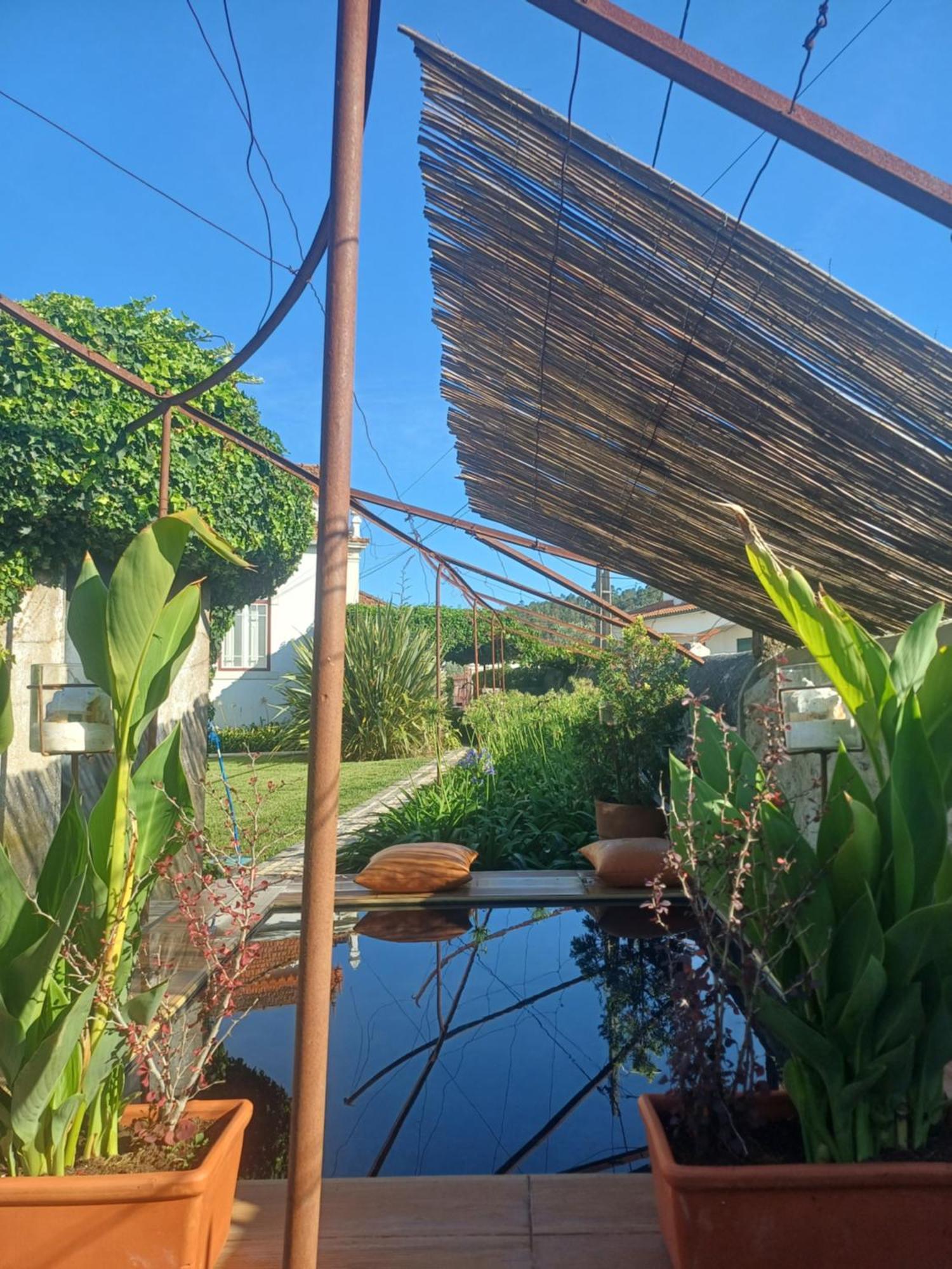 Vila Delfina Lousa  Bagian luar foto