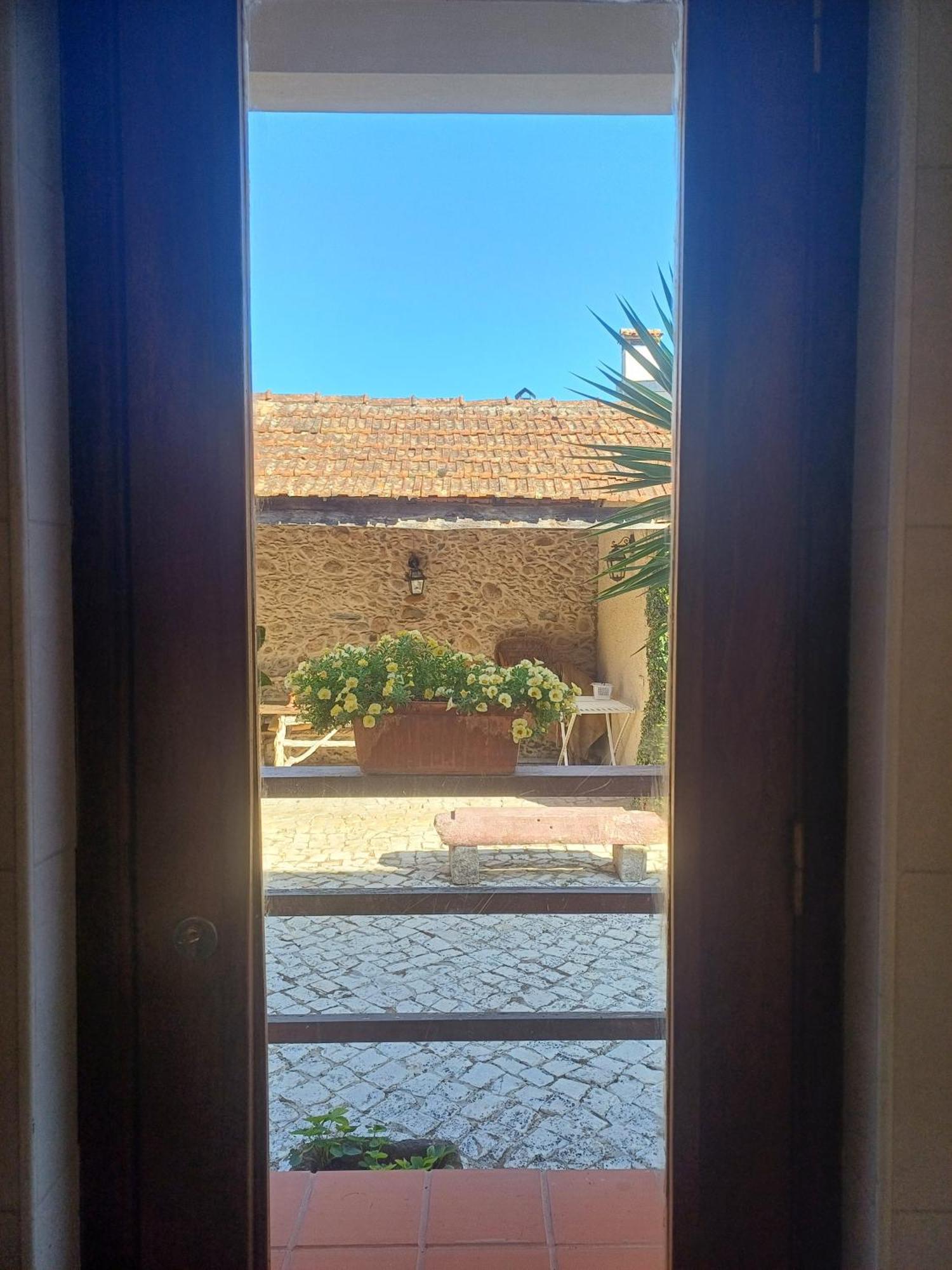 Vila Delfina Lousa  Bagian luar foto