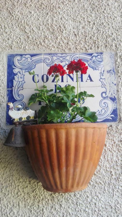 Vila Delfina Lousa  Bagian luar foto